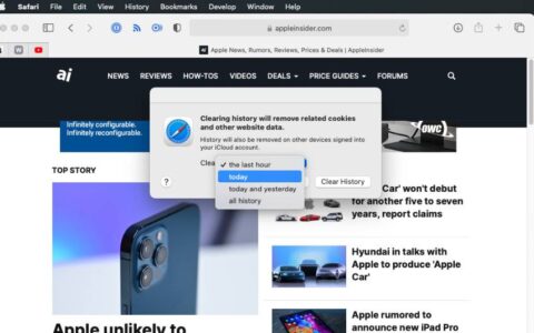 如何在iphone 12或mac上的safari上清除搜索历史记录