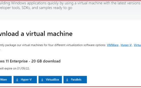 下载适用于 vmware、hyper-v、virtualbox 和 parallels 的官方 windows 11 企业 vm 映像