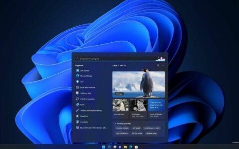 动手操作：windows 11 的新搜索 ui 已发布，但准确性问题仍然存在