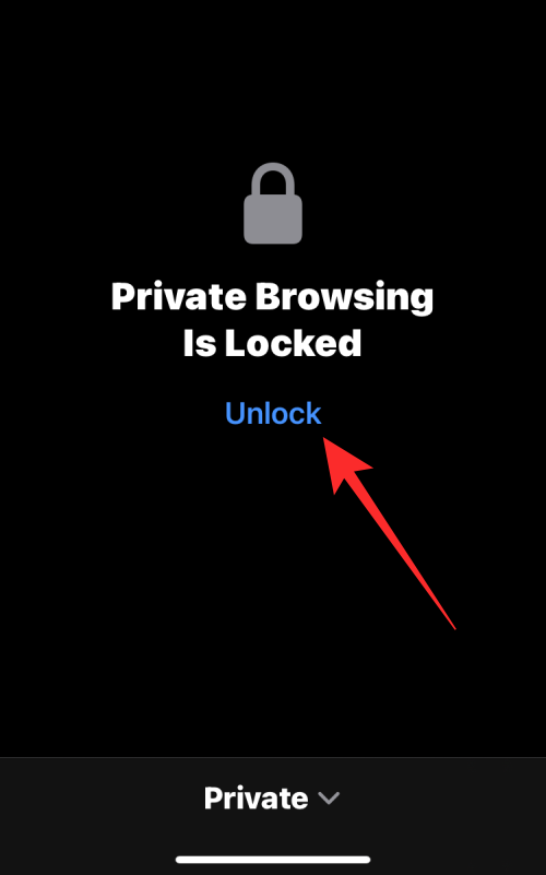 disable-private-browsing-mode-on-safari-1-b