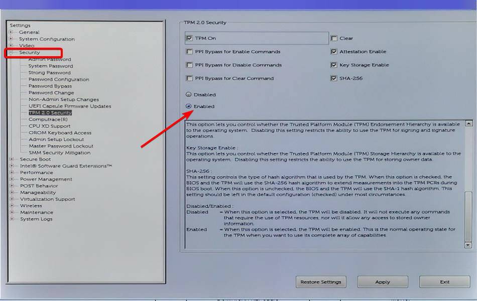 enabled-tpm-bios-1