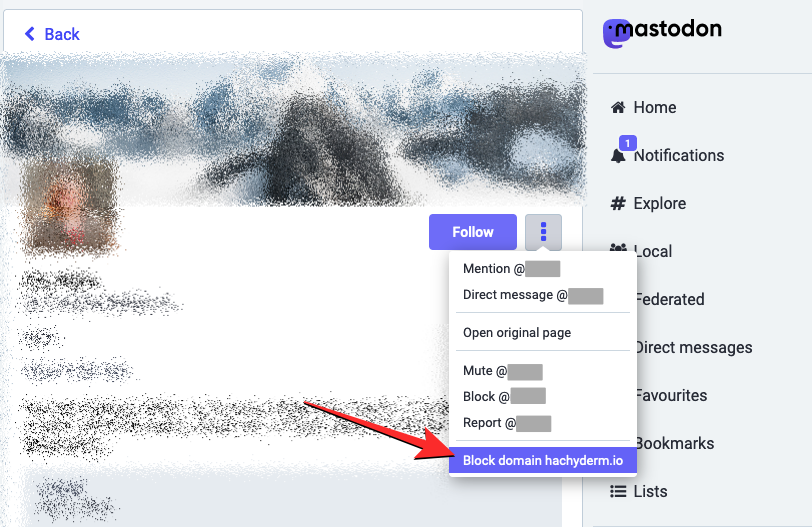block-an-instance-on-mastodon-8-a